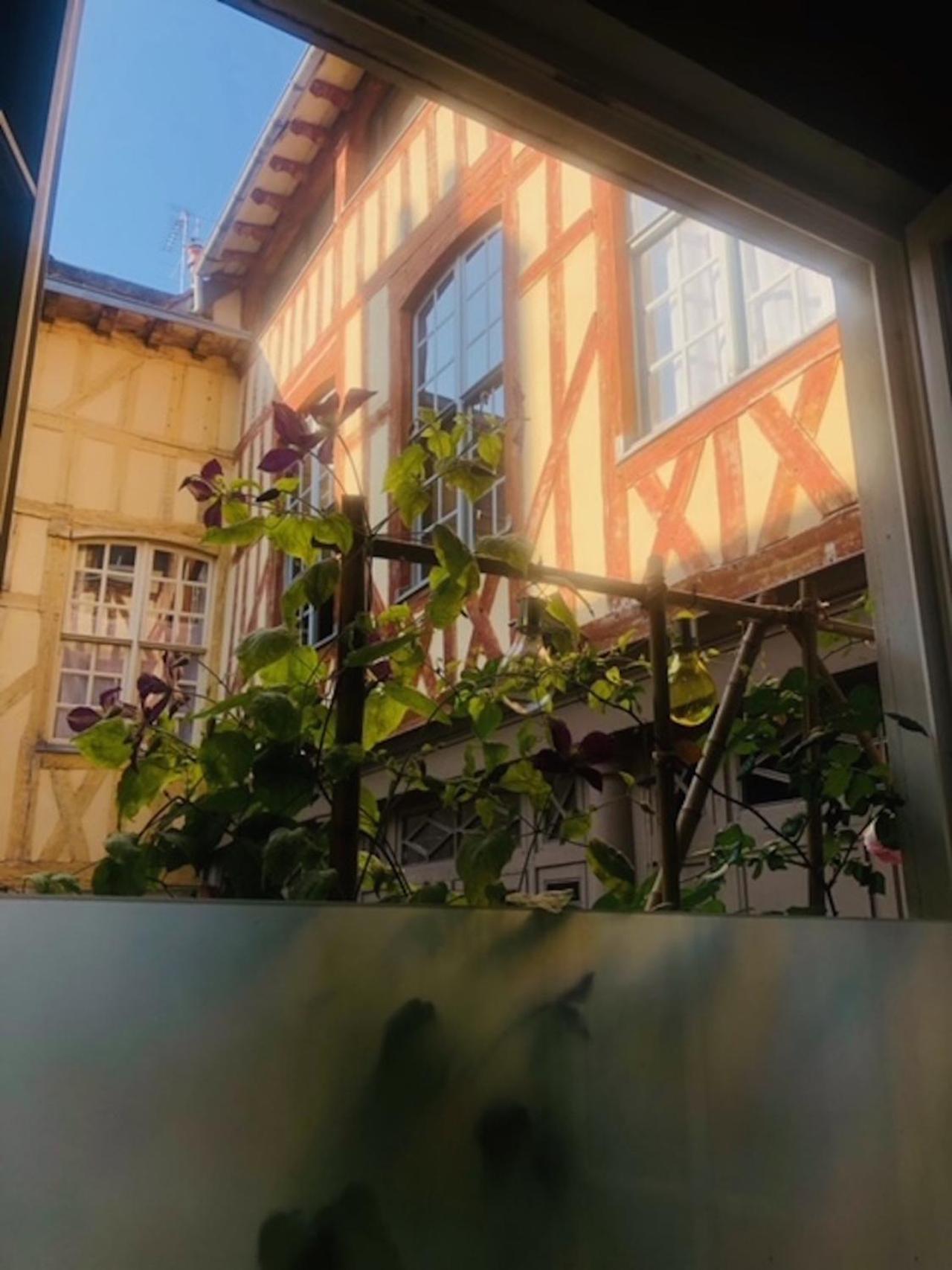 Atelier Des Glycines, Troyes Bouchon De Champagne, Sublime Site Patrimonial Apartment Exterior foto