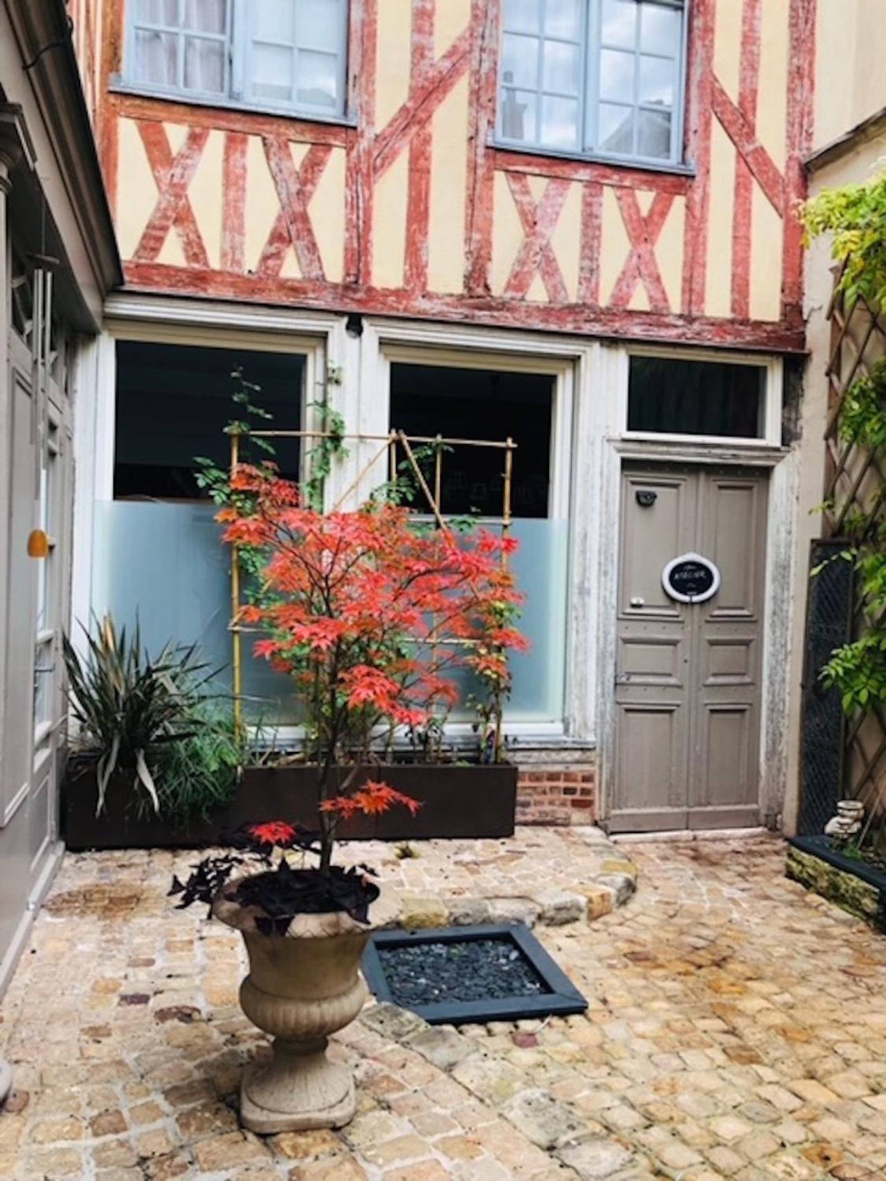 Atelier Des Glycines, Troyes Bouchon De Champagne, Sublime Site Patrimonial Apartment Exterior foto